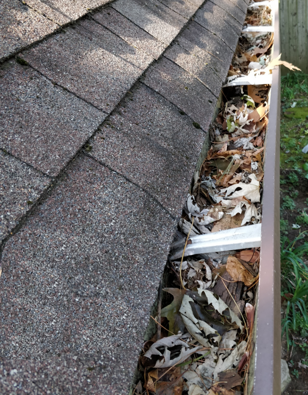 Home Gutter Maintenance